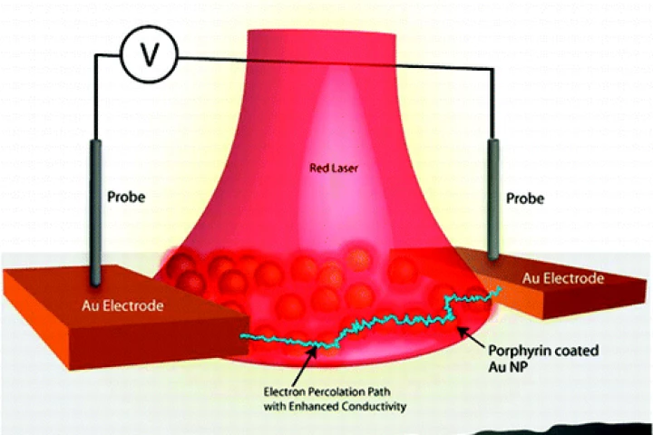 Material scientists at the Nano/Bio Interface Center of the University of Pennsylvania have demonstrated the transduction of optical radiation to electrical current in a molecular circuit