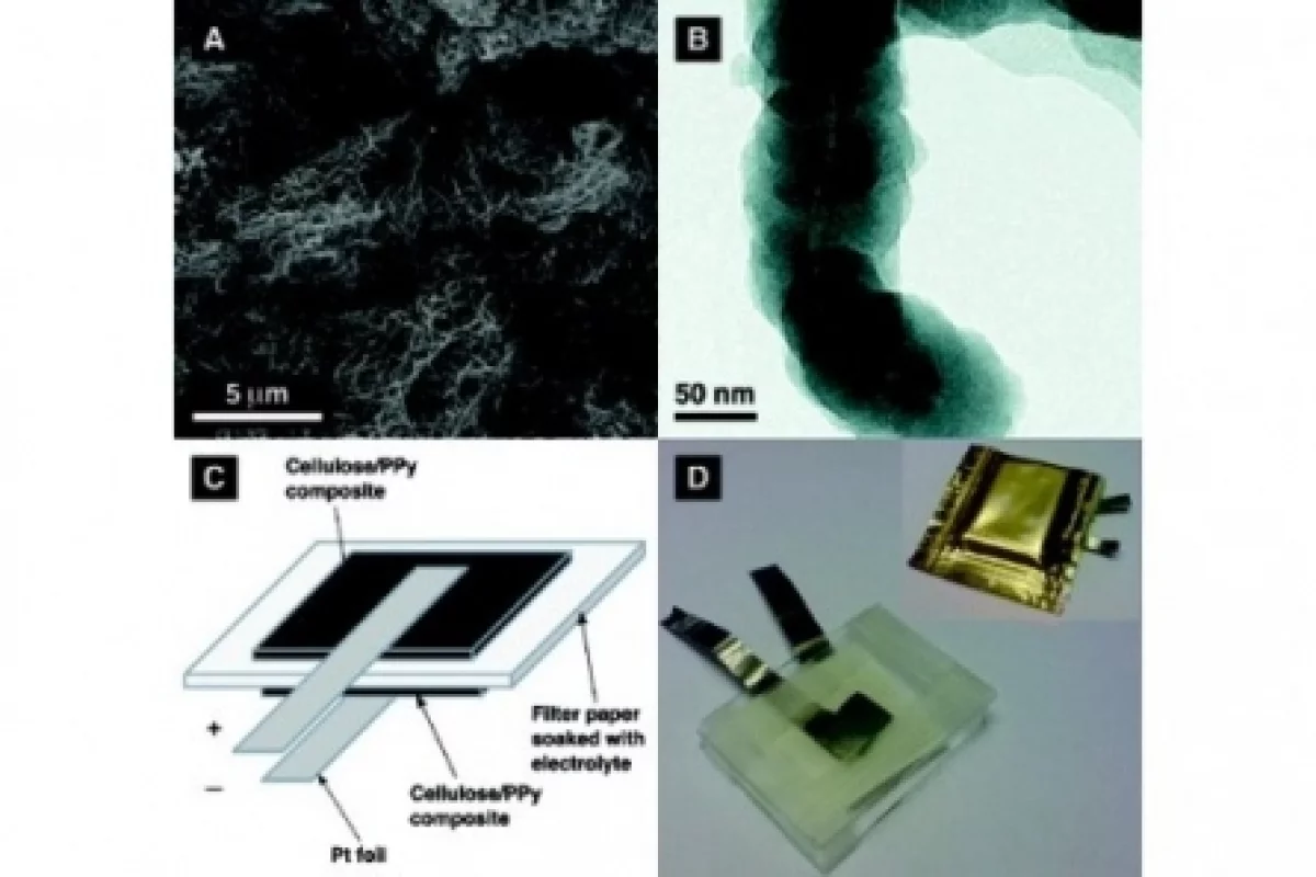 The battery is produced by coating the algae with a thin layer of polypyrrole (Images: Gustav Nystrom, Aamir Razaq, Maria Strømme, Leif Nyholm, Albert Mihranyan)