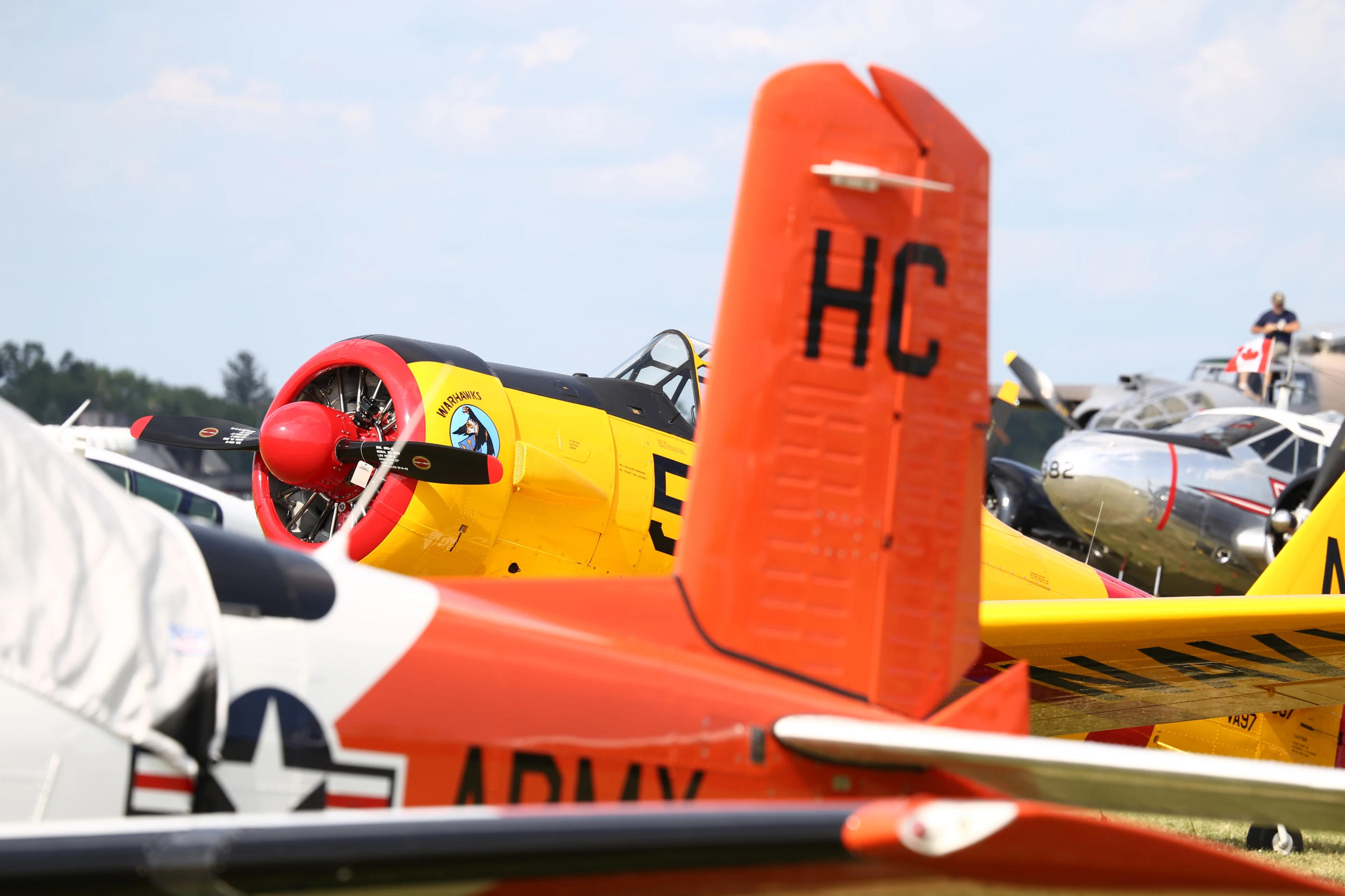 Harvards and other airforce trainers (Photo: Angus MacKenzie/Gizmag.com)