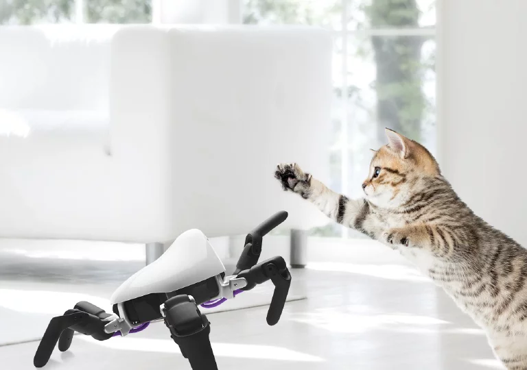 Hexa can be programmed with If/Then statements, telling the robot to perform actions in response to certain stimuli