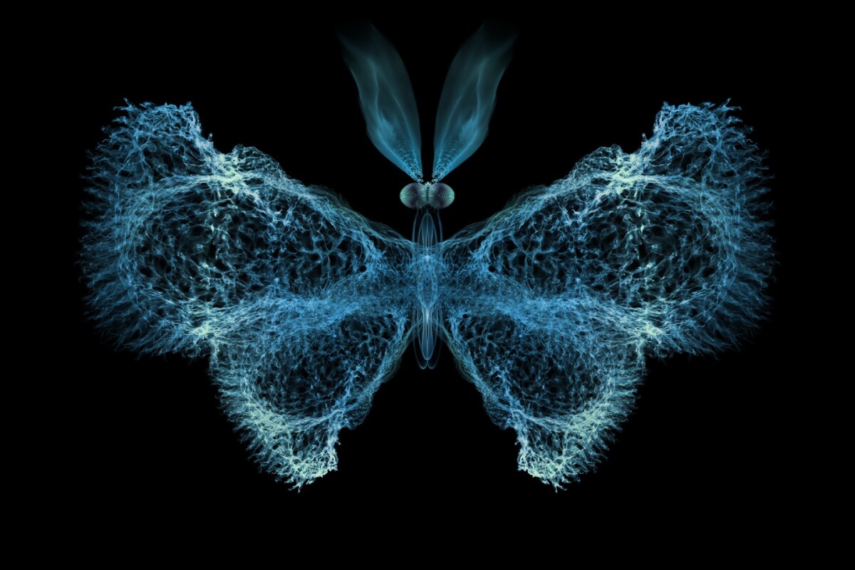 Researchers have found evidence that chaos theory – best known through the "butterfly effect" – plays a big role in the immune system