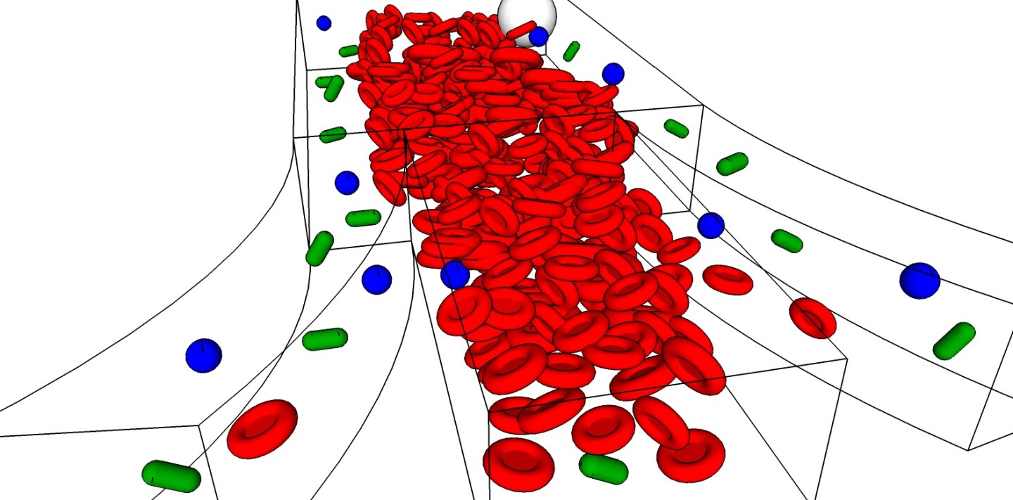 A diagram illustrating how the device diverts bacteria from the red blood cells