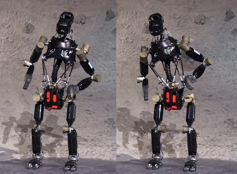 Video Istruct Robot Ape Stands Upright Thanks To Its Active Spine Video Istruct Robot Ape Stands Upright Thanks To Its Active Spine
