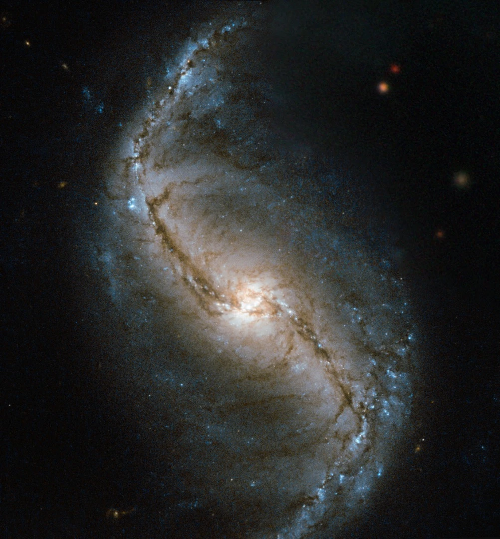NGC 986 is found in the constellation of Fornax (The Furnace), located in the southern sky. NGC 986 is a bright, 11th-magnitude galaxy sitting around 56 million light-years away, and its golden centre and barred swirling arms are clearly visible in this image