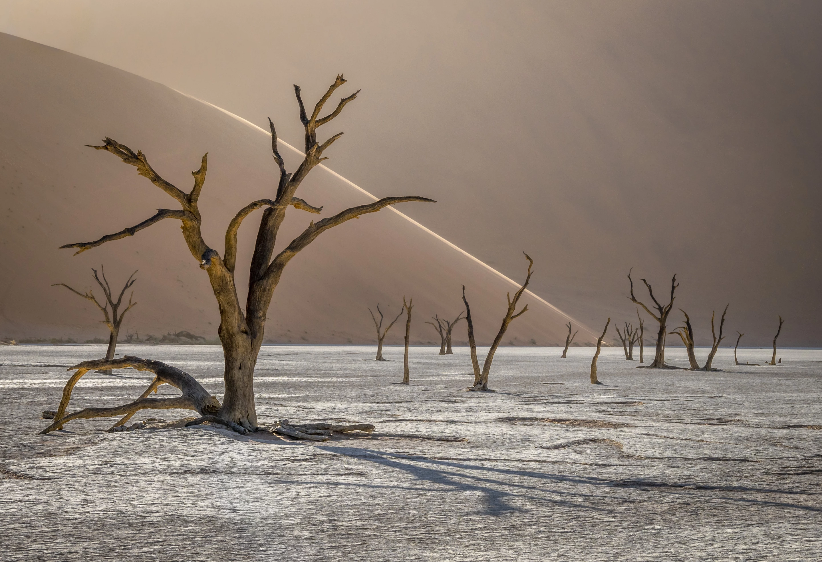 Highlight from the top 101, Namib-Naukluft Park, Namibia