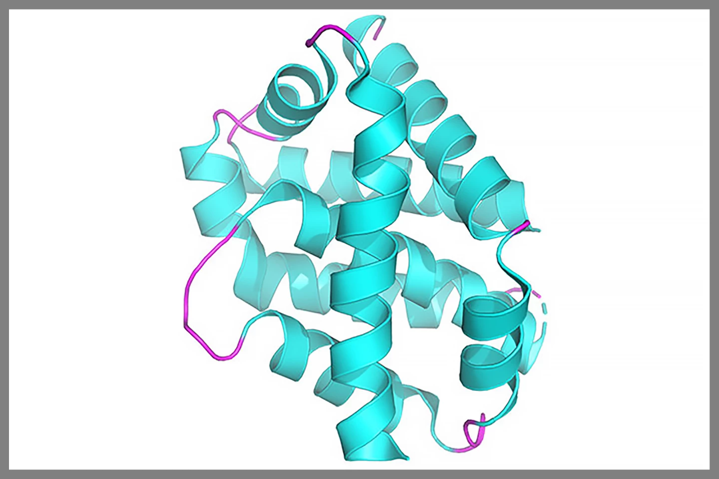 The structure of the BAX protein, which is involved in the process of cell death