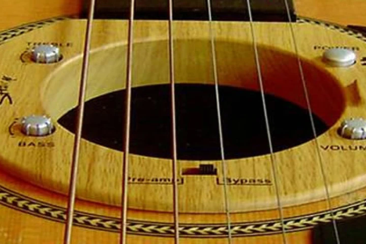 The SHamp fits in the sound hole of most acoustic guitars