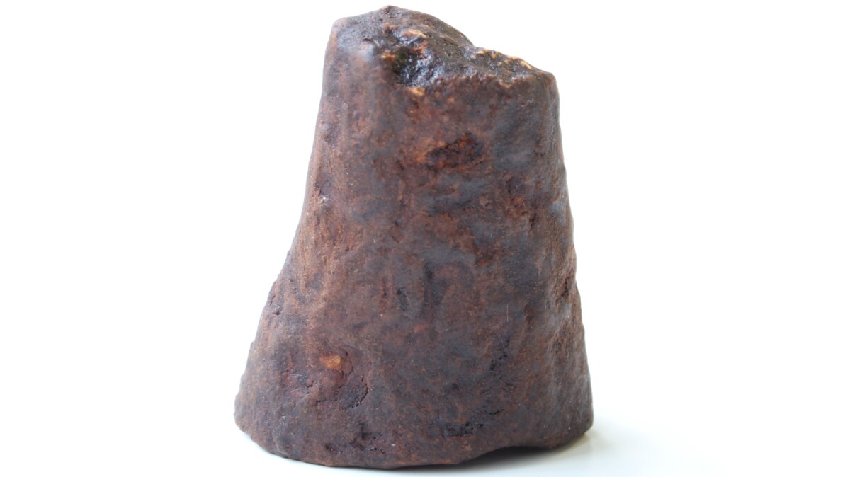 An example of Pembient's 3D-printed synthetic rhino horn
