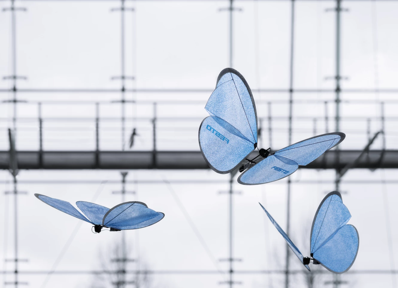 Each eMotionButterfly has a flight speed of up to 2.5 meters per second (about 8 feet per second)