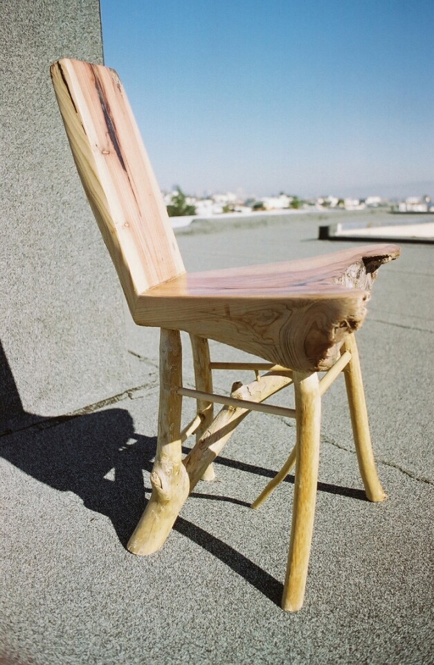 Trees trained to grow into furniture