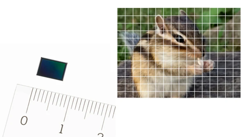 The Sony Exmor RS IMX230 can use up to 192 AF points to help when shooting fast-moving subjects