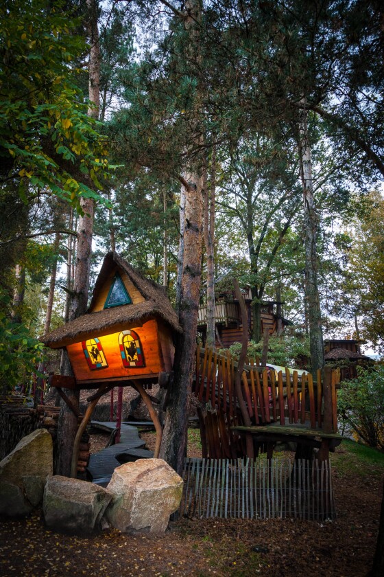 Kulturinsel Einsiedel: the treehouse hotel at night