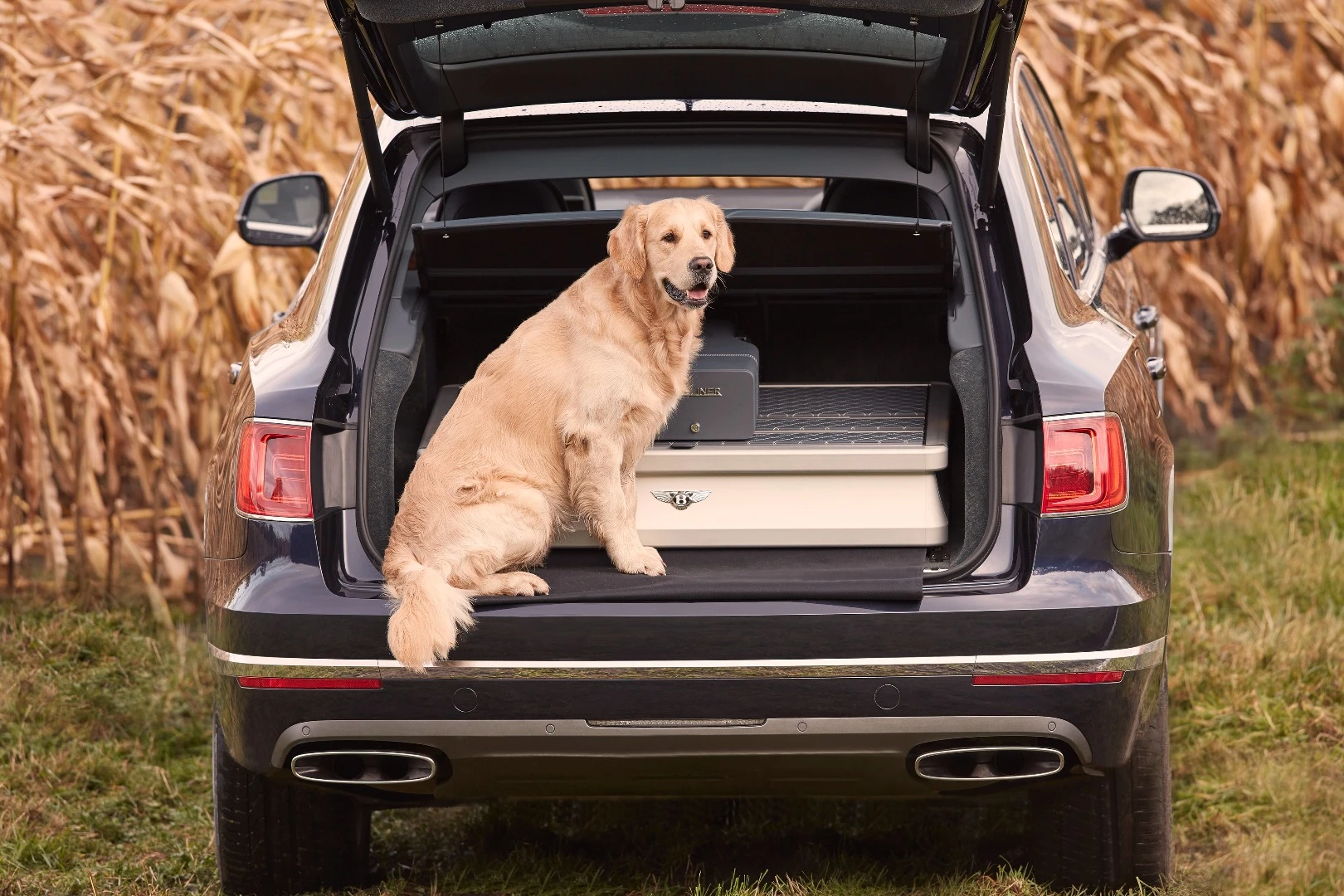 Following the likes of the Bentayga Fly Fishing and Bentayga Falconry comes the Bentayga Field Sports, for those whose bespoke, handcrafted shotguns can only travel in style
