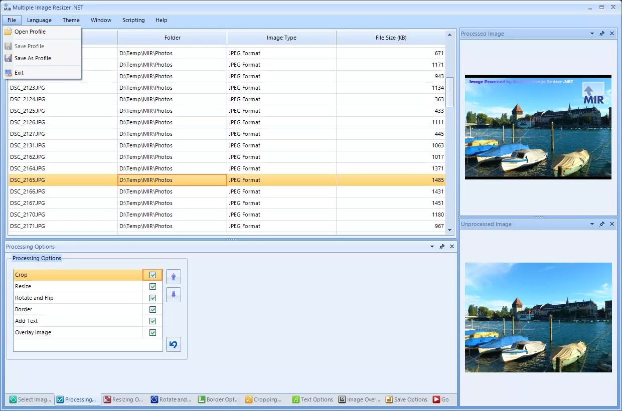 An image being previewed with a view of the file menu