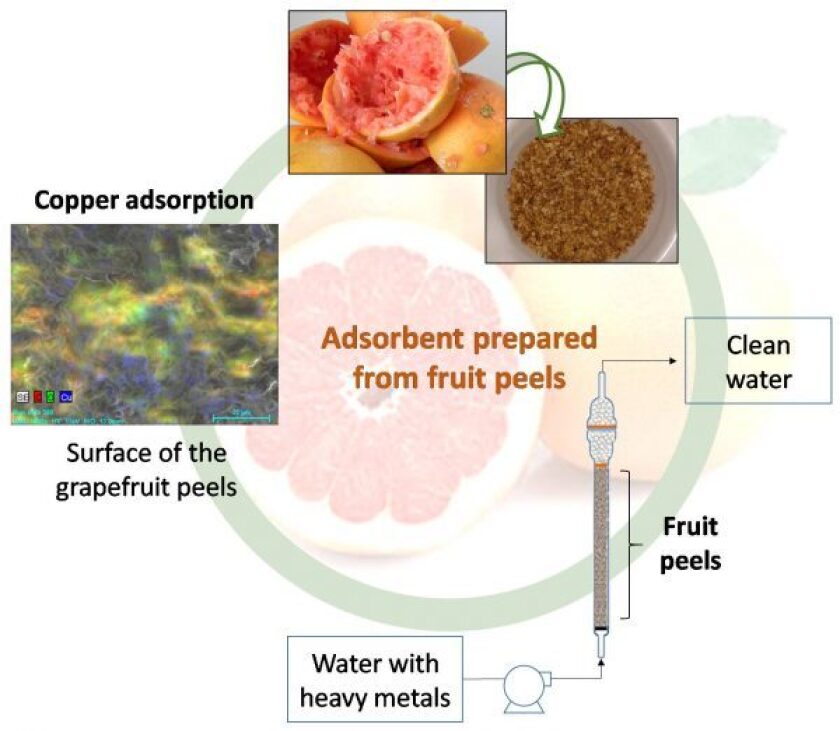 A diagram of the process