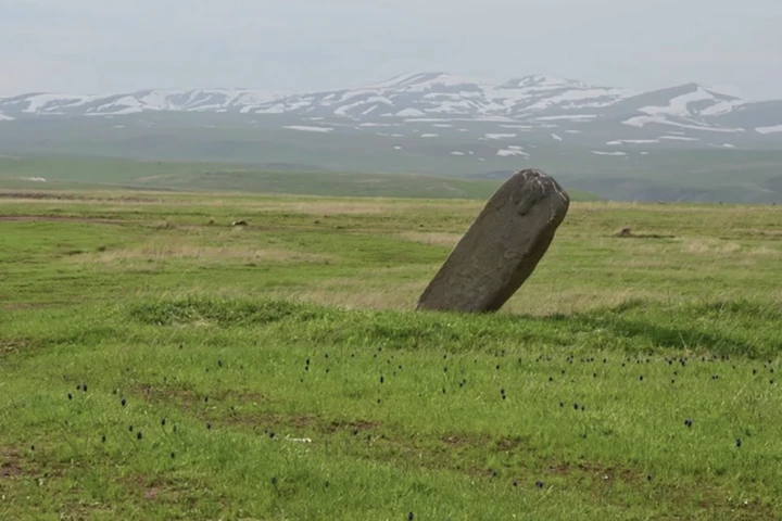 Vellus category stones were shaped to resemble a stretched or draped bovid hide