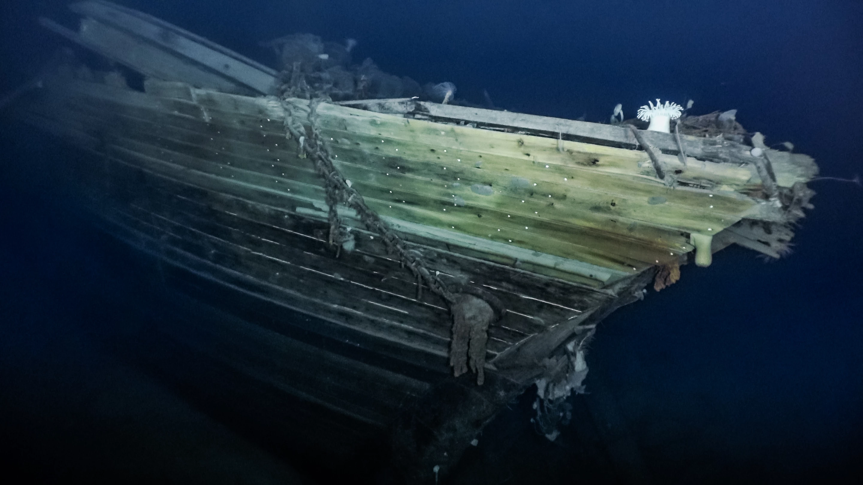 Bow of Endurance