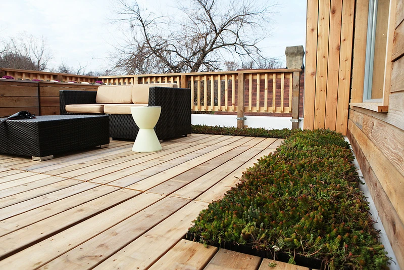 Outdoor space was an important feature for Lakiya Culley and her children (Photo: Sarah Gerrity, US Dept of Energy)