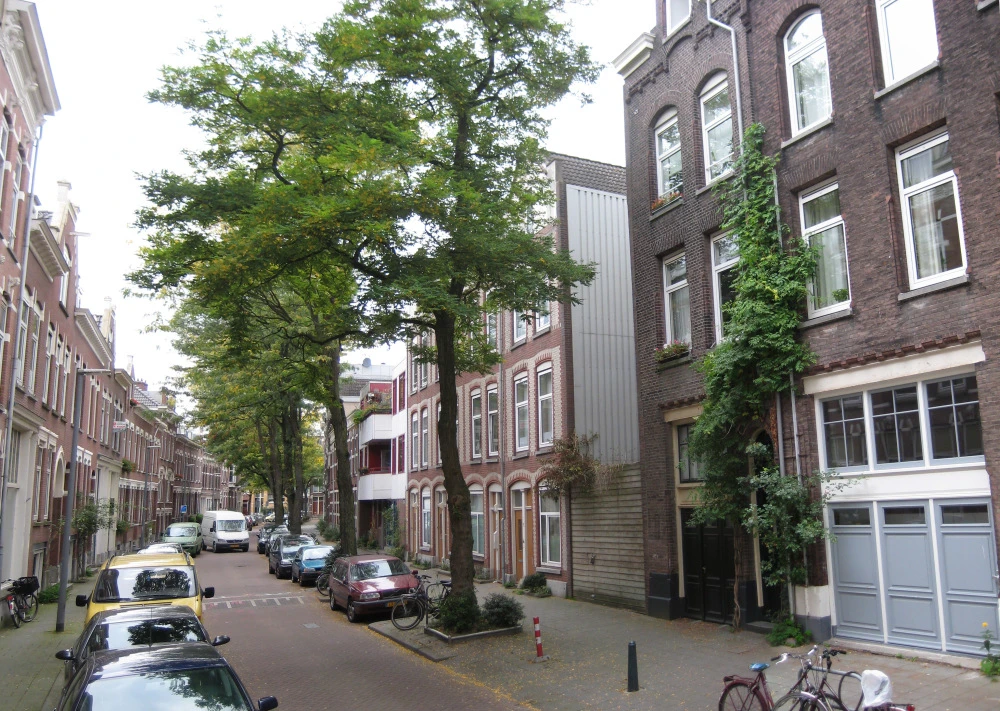 The narrow plot before the SkinnyScar house was built within it
