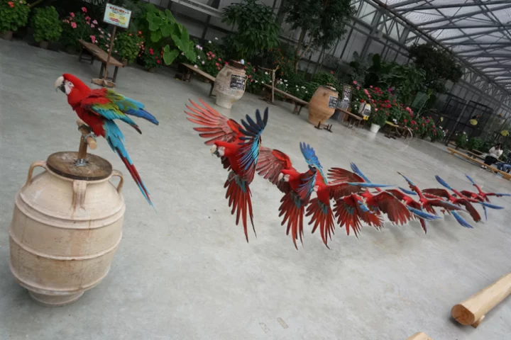 The Motion Shot PlayMemories Camera App from Sony identifies the moving subject in a high-speed burst of frames and merges them into a single image