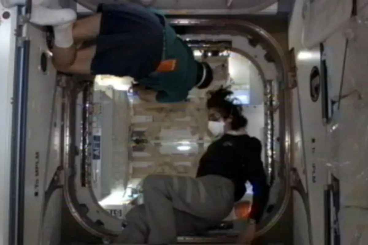 The ISS crew looking inside the Dragon capsule (Photo: NASA)