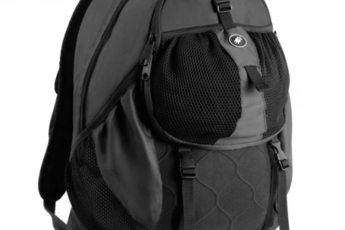 PacSafe's DaySafe 100