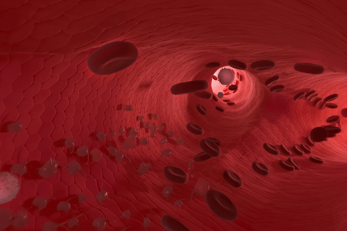 Researchers have found that a commercially available supplement can improve dilation of a subjects’ arteries by 42 percent in response to increased blood flow