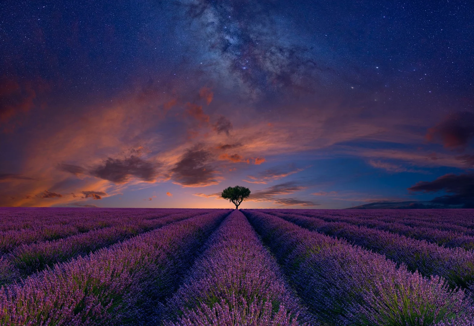 Valensole, France. From the top 101 entries