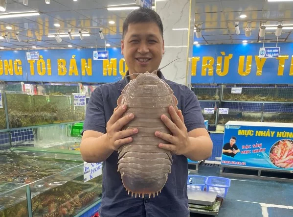 Dr. Nguyen Thanh Son holding a giant specimen of another species of supergiant isopod found in Vietnam