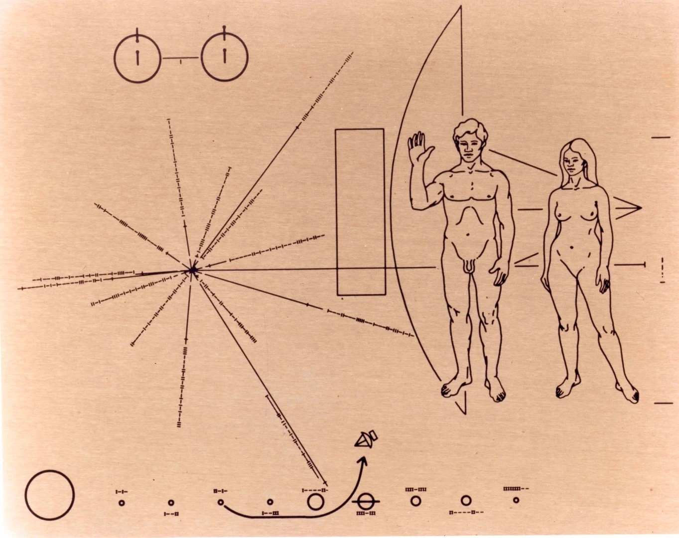 The Pioneer plaque