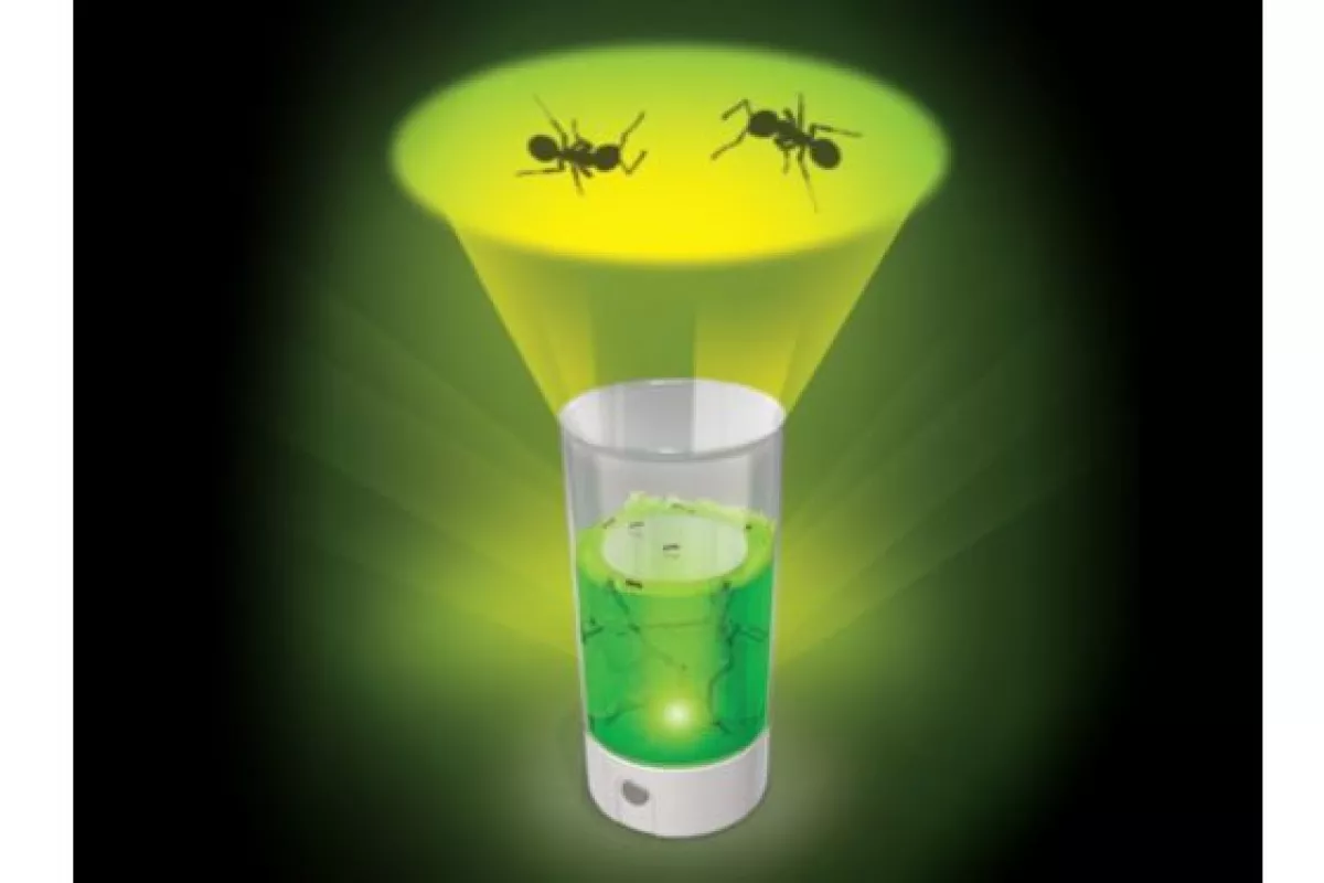 Ant Farm Revolution contains an LED lamp, which allows users to project images of the ants onto their ceiling