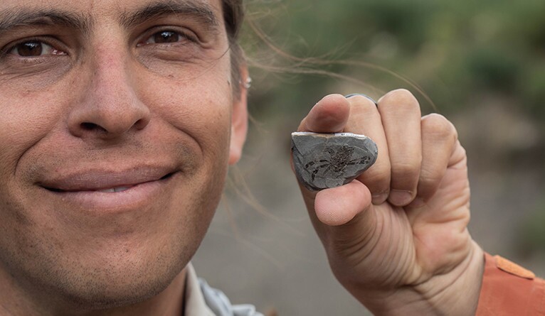 Javier Luque poses with a Callichimaera perplexa fossil