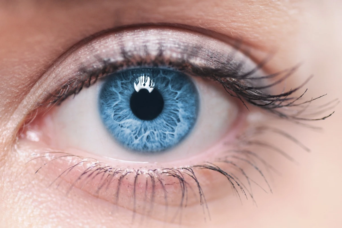 Scientists have proved that the gene editing tool CRISPR is effective at combating retinitis pigmentosa in patient-derived stem cells