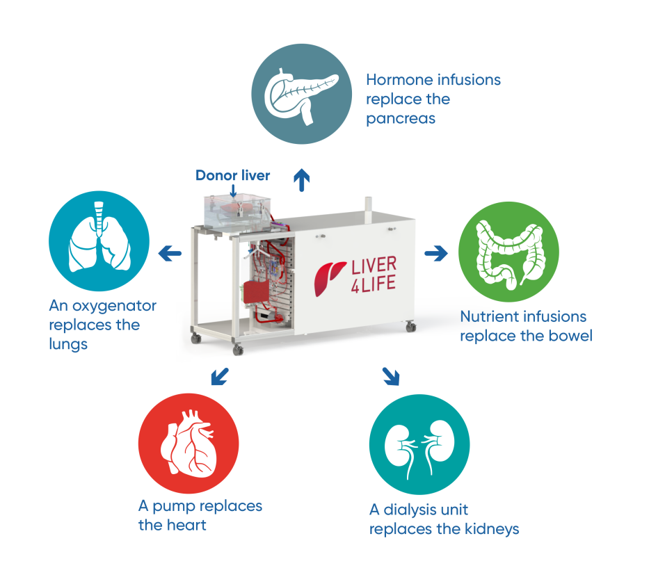 Diagram demonstrating the functions of the new liver perfusion machine