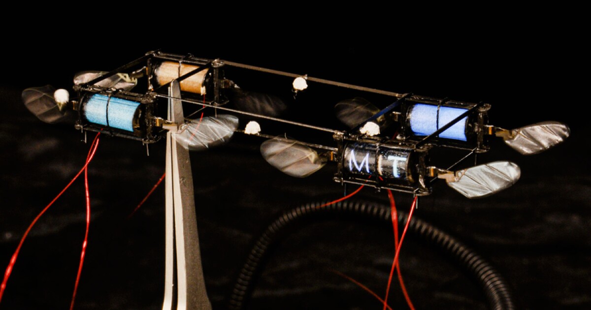 Robotic fireflies mild up with each flap of their wings