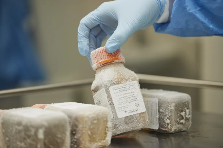 Researchers in Australia are about to start a pioneering clinical trial using fecal transplantation to treat complications in patients with blood cancers