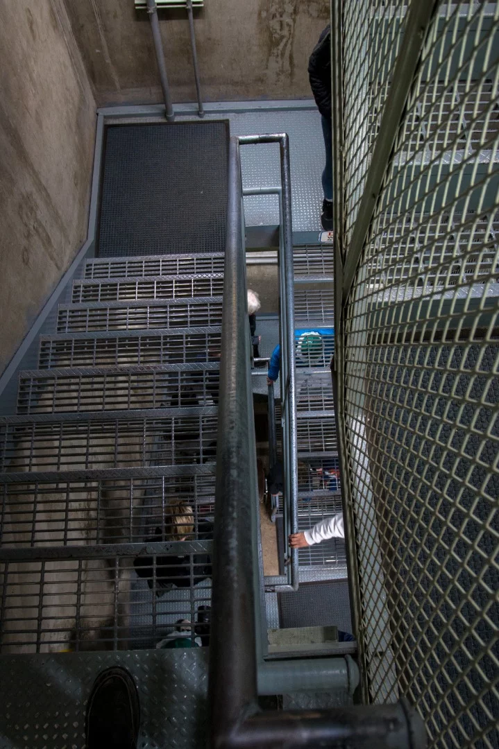 The stairs to the command center go down three storys