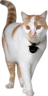 Eyenimal Pet Video Camera