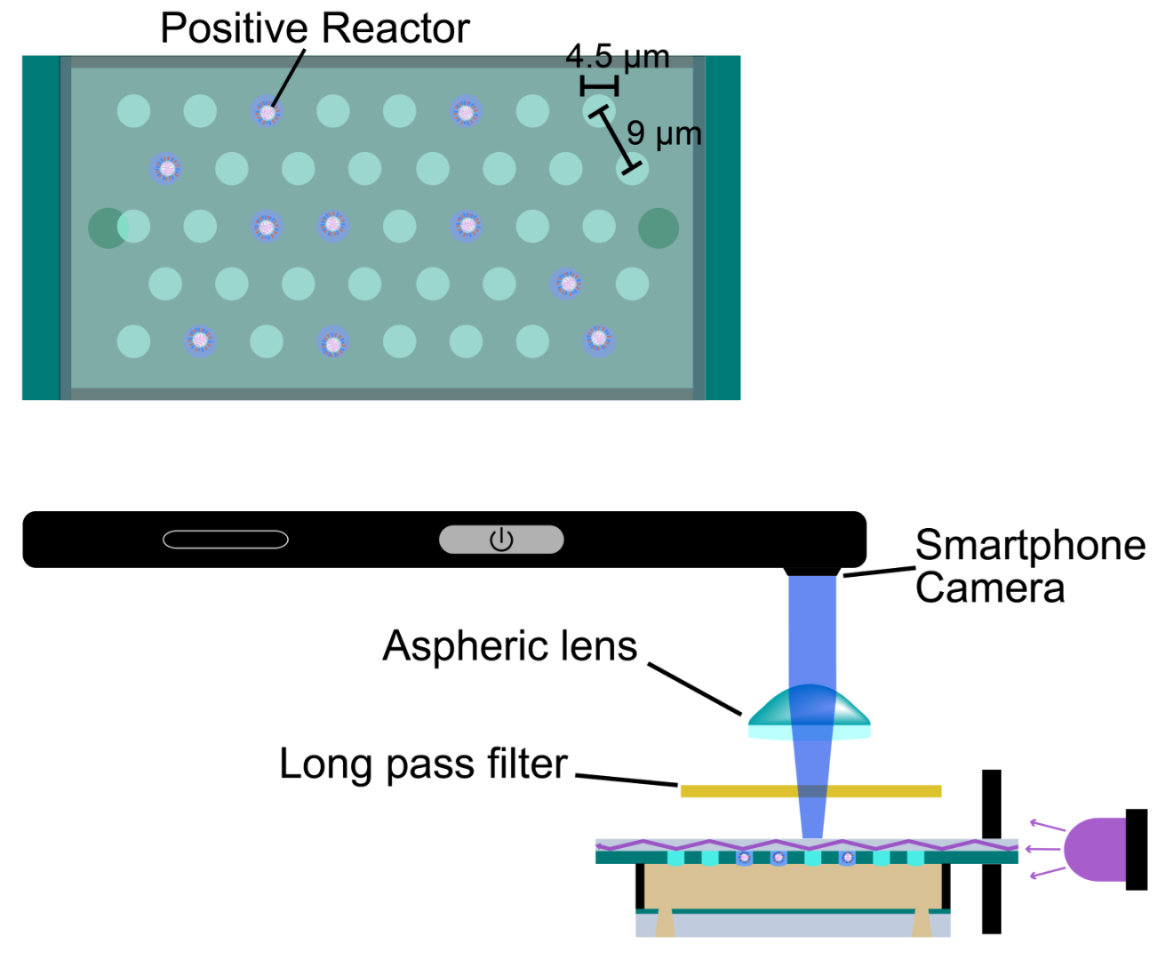 A diagram showing how the device works
