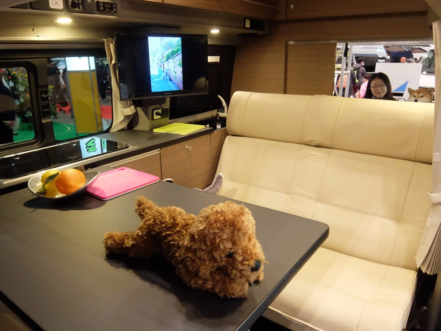 The "family area" inside the Composer HR