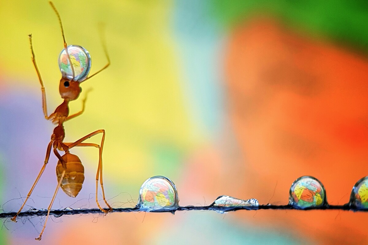 The Best Photography Of 2019