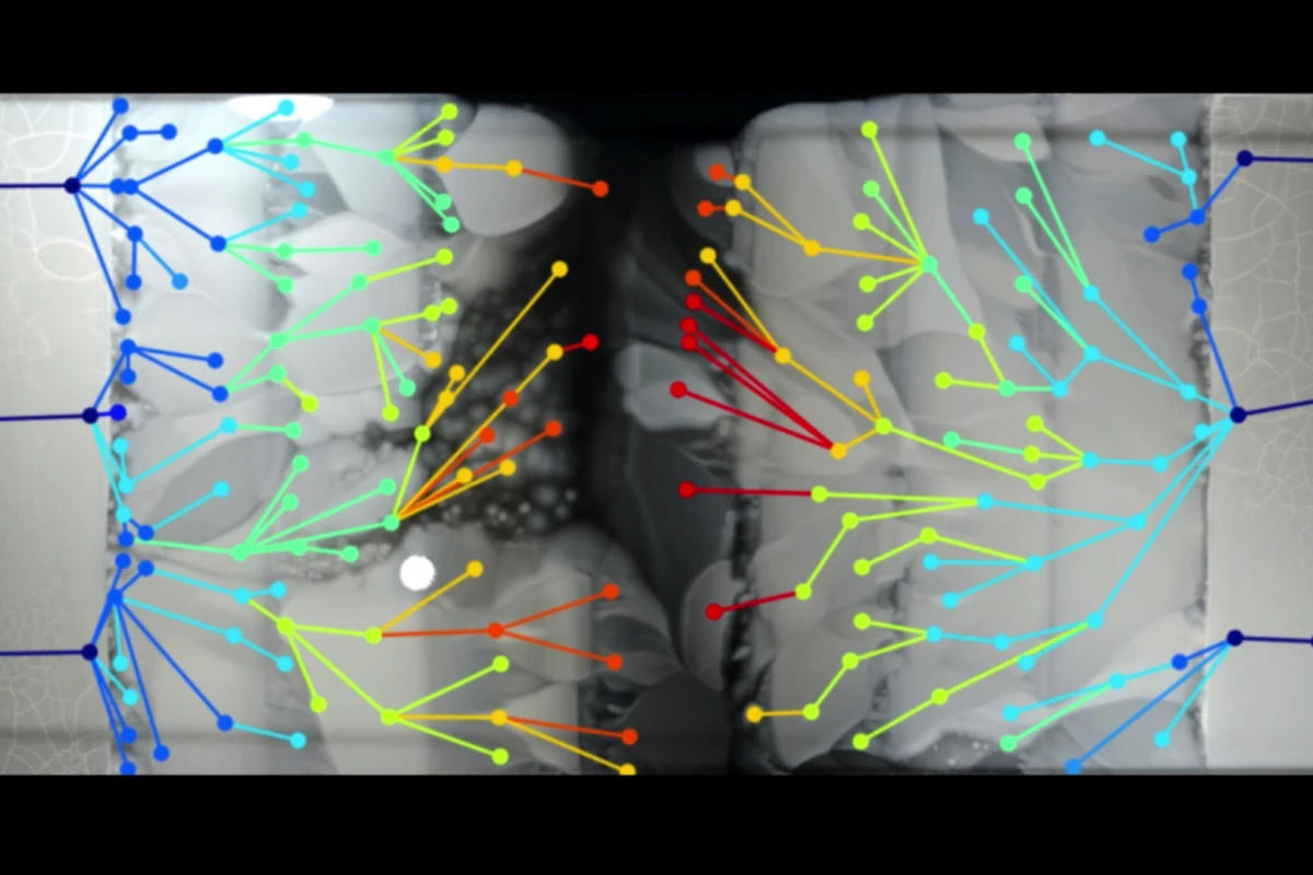 The way the bacteria's evolution played out surprised the researchers in a couple of ways