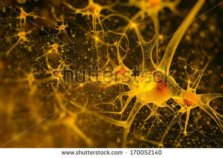 Artist's impression of a network of neurons (Photo: Shutterstock.com)