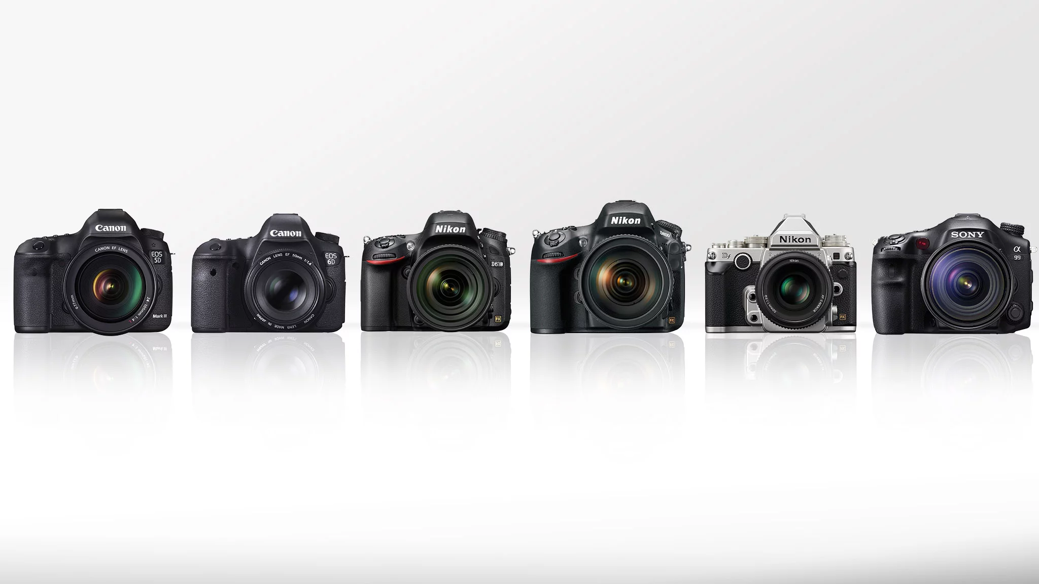 Gizmag compares some of the best high-end DSLRs on the market