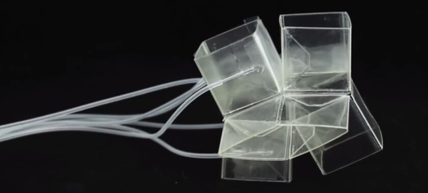 Inspired by a type of modular, unit-based origami called snapology, the Harvard creation folds and unfolds using remotely-controlled embedded pneumatic actuators