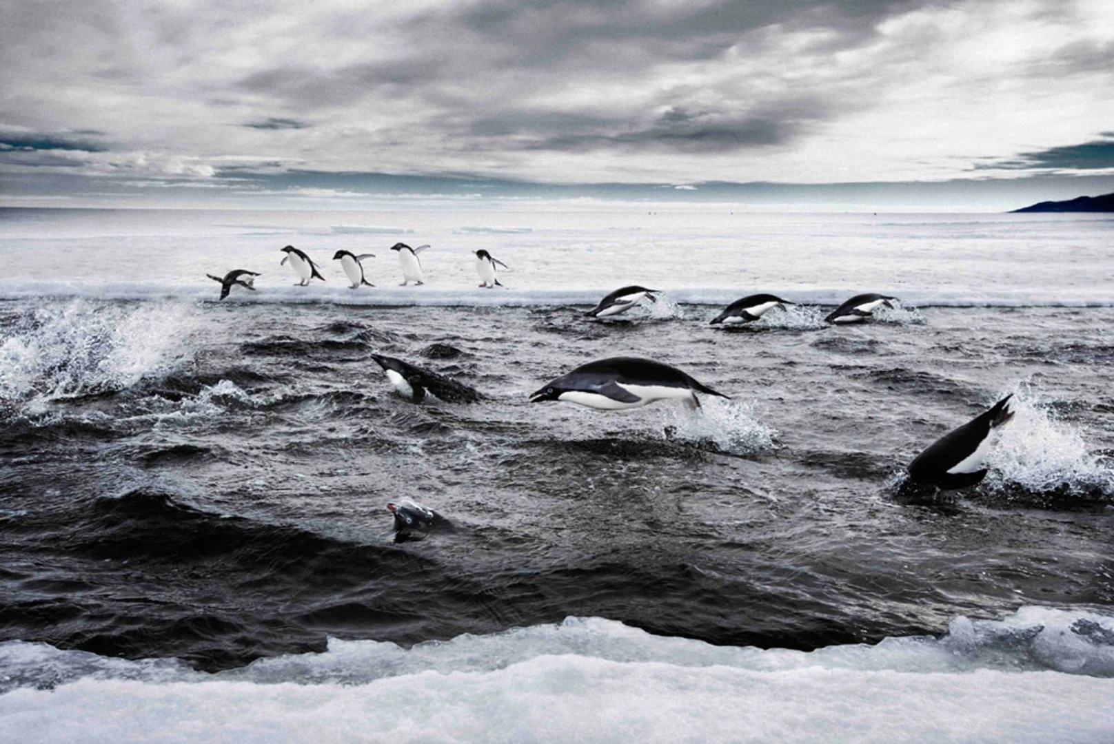Melting ice in Antarctica poses a real threat to coastal communities around the world