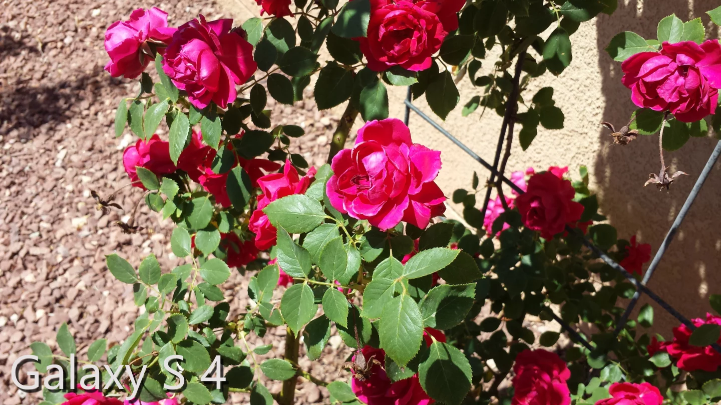 Well-lit outdoor shot taken with the GS4