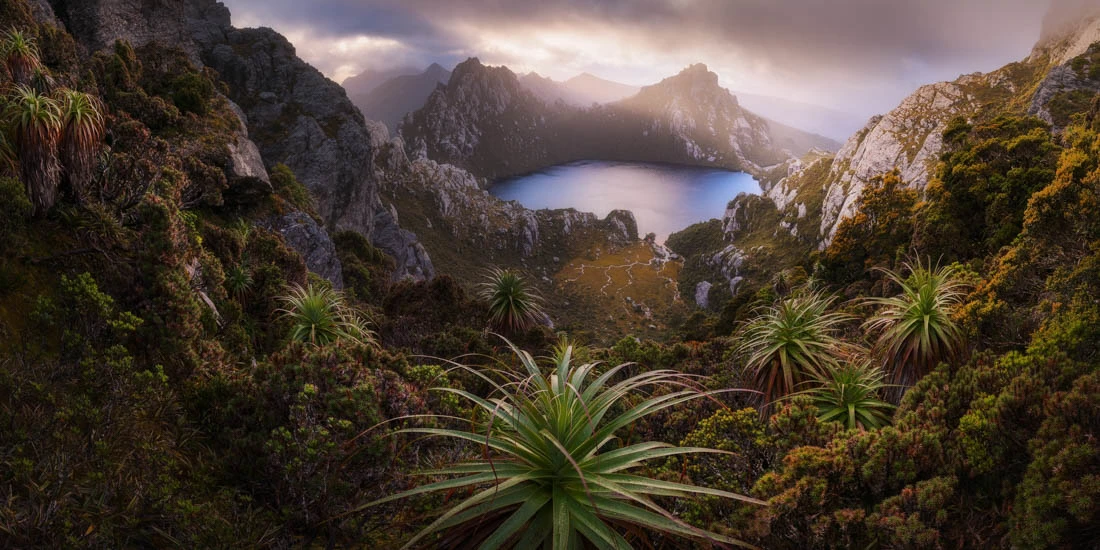 A highlight from the top 50 images in the Open, Nature category of this year's Pano Awards