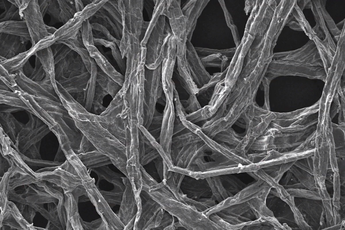 A closeup of the wood fibers used by the researchers in their sodium-ion battery (Image: University of Maryland)