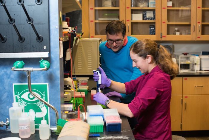Professor Luis Ceze and researcher Lee Organick prepare DNA containing digital data for sequencing